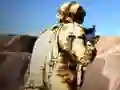 Gêm Rhyfedd Ffîn Pro ar-lein Gêm Rhyfedd Ffîn Pro ar-lein