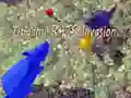 Gêm Ymyrra Glin Origami ar-lein Gêm Ymyrra Glin Origami ar-lein