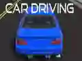 GĂȘm Gyrrwr Car ar-lein GĂȘm Gyrrwr Car ar-lein