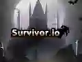 Gêm Survivor.io ar-lein