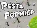 GĂȘm Gwyl y Maineg ar-lein GĂȘm Gwyl y Maineg ar-lein