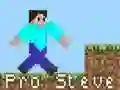 Gêm Pro Steve ar-lein