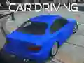 Gêm Gyrrwr Car ar-lein Gêm Gyrrwr Car ar-lein