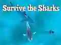 Gêm Survive the Sharks ar-lein