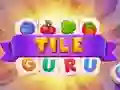Gêm Guru Teils ar-lein