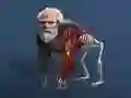 GĂȘm Evolusi Ddiweithredol: O Gell i Person ar-lein GĂȘm Evolusi Ddiweithredol: O Gell i Person ar-lein