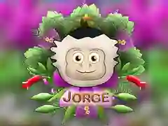 Gêm Jorge Wyneb Gwyn ar-lein Gêm Jorge Wyneb Gwyn ar-lein
