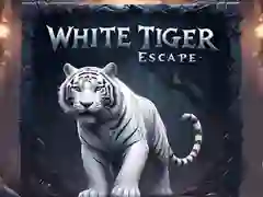 Gêm Dianc Y Tigre Gwyn ar-lein Gêm Dianc Y Tigre Gwyn ar-lein