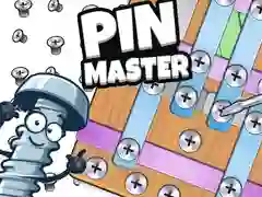 Gêm Meistr Pin ar-lein Gêm Meistr Pin ar-lein