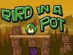 Gêm Bir mewn pot ar-lein