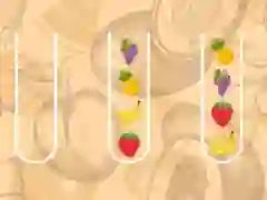 GĂȘm Meistr Tsortio Ffrwythau ar-lein GĂȘm Meistr Tsortio Ffrwythau ar-lein