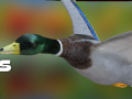 Gêm Ysbyty Cwrc: Coed Hydref ar-lein
