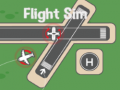 Gêm Simulator Hedfan ar-lein