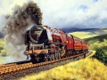 Gêm Pecyn o Deithiau Tren ar-lein