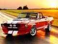Gêm Gwahaniaethau Mustang Fensi ar-lein