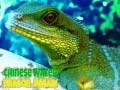 Gêm Pêl-ymchwil Draig Dŵr Tsieina ar-lein