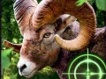 Gêm Hunting Goat Crazy 2020 ar-lein