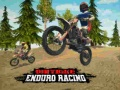 Gêm Ras Enduro Beici ar-lein