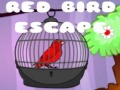 Gêm Dihedeg y Bîrd Coch ar-lein