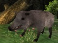 Gêm Hunting Mwgwd ar-lein