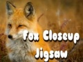 Gêm Pisgwr yr Wygyr Fflat ar-lein