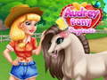 Gêm Gofrestri'r Dewis Ponies Audrey ar-lein