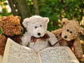 Gêm Pêl-draig Tri Teddy Cuddly ar-lein