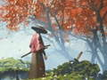 Gêm Adlewyrchiad Samurai ar-lein