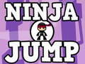 Gêm Sgyd Ninja ar-lein