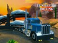 Gêm Simulators Gyrrwr 18 Olwyn ar-lein