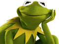 Gêm Llyfr Celf Dyluniad ar gyfer Kermit y Frog ar-lein