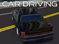 Gêm Gyrrwr Car ar-lein