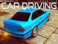 Gêm Gyrrwr Car ar-lein