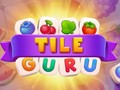 Gêm Guru Teils ar-lein