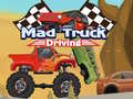 Gêm Gyrrwr Camion Dwl ar-lein