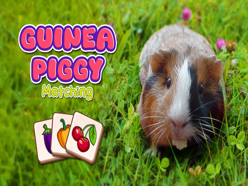Gêm Guinea Piggy Matching ar-lein