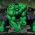 Hulk Hulk ar-lein