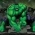 Hulk  ar-lein